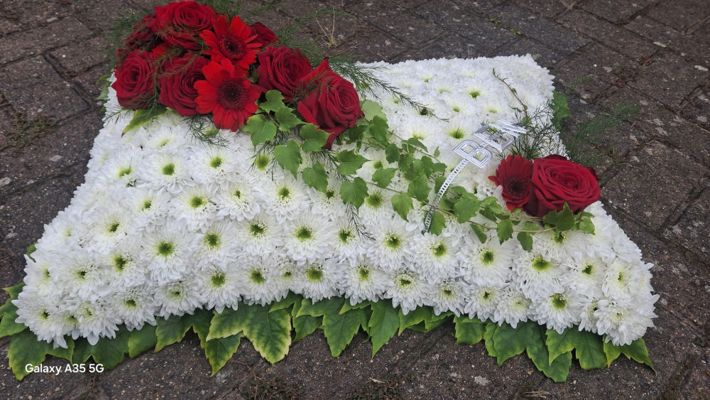Traditional Based Pillow