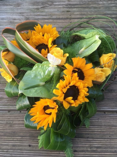 Anthurium Contemporary Heart - A contemporary design featuring Anthuriums, Roses, Sunflowers.  sunflowers are seasonal, when out of season, will be replaced with other focal seasonal flowers.  Please contact the shop if you would like to discuss.
