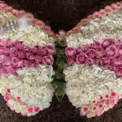 Butterfly - Luxury Butterfly approx 22" Width.  Available in Pink, Red, Yellow, Orange, Lilac, Mixed.  Please phone to discuss/